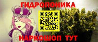 spice Краснознаменск