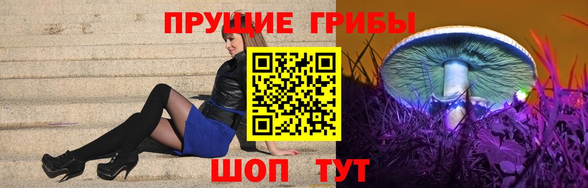 Галлюциногенные грибы ЛСД  Вход с VPN  закладка  Галлюциногенные грибы Psilocybe  Кудымкар 